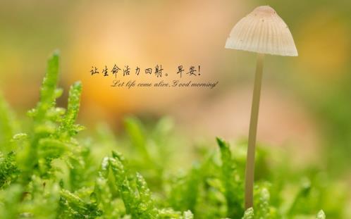 六年级毕业恩师留言