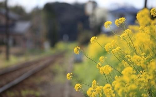 适合元宵节快乐的说说