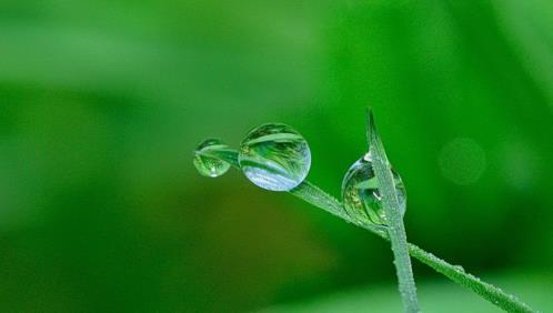 写秋雨的句子优美段落