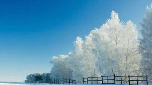 教师给学生的新年祝福语简短