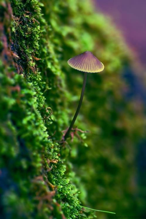 愚人节幽默一句话说说