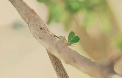 中秋节情人祝福语