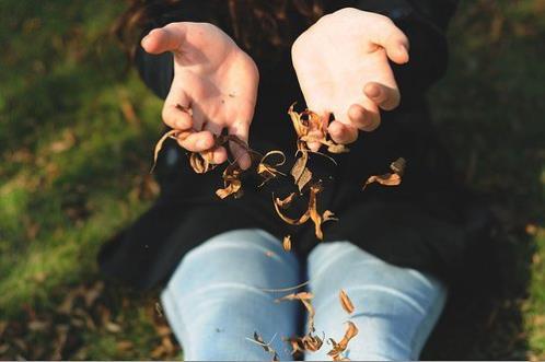 情人节写给男友的话