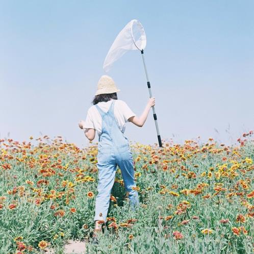 形容雨天的句子