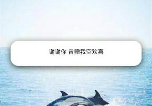 qq签名大全爱情浪漫