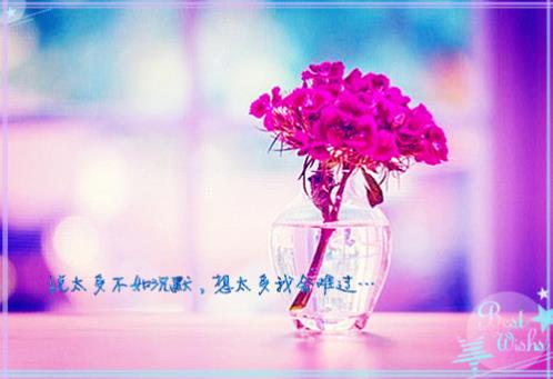 端午节祝福短信20字