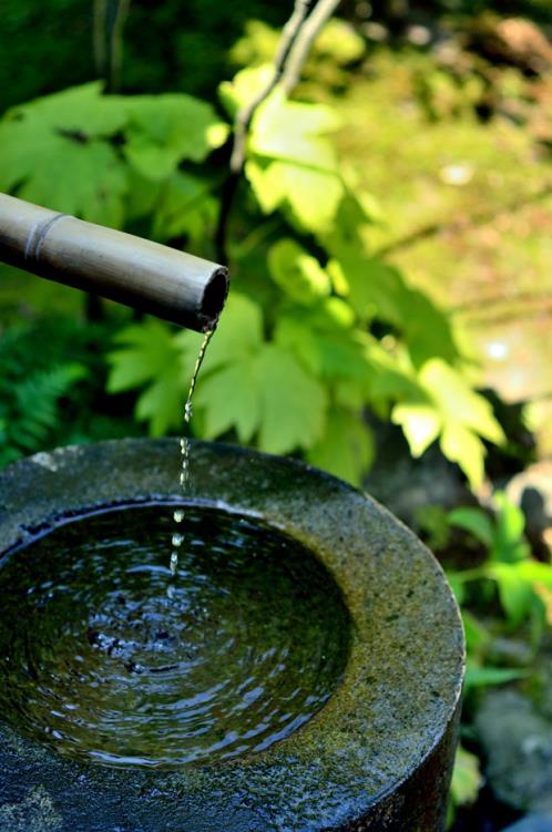 初中老师教师节祝福语